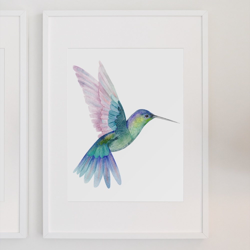 Watercolor Hummingbird Wall Art Illustration Print Poster Unframed - Picture 7 of 17